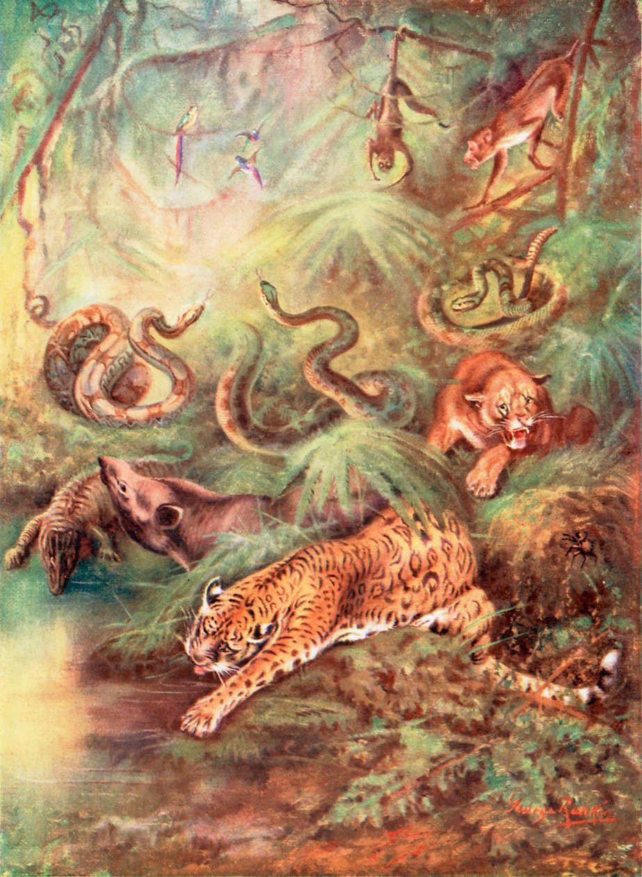  द्वारा जॉर्ज जेम्स रंकिन