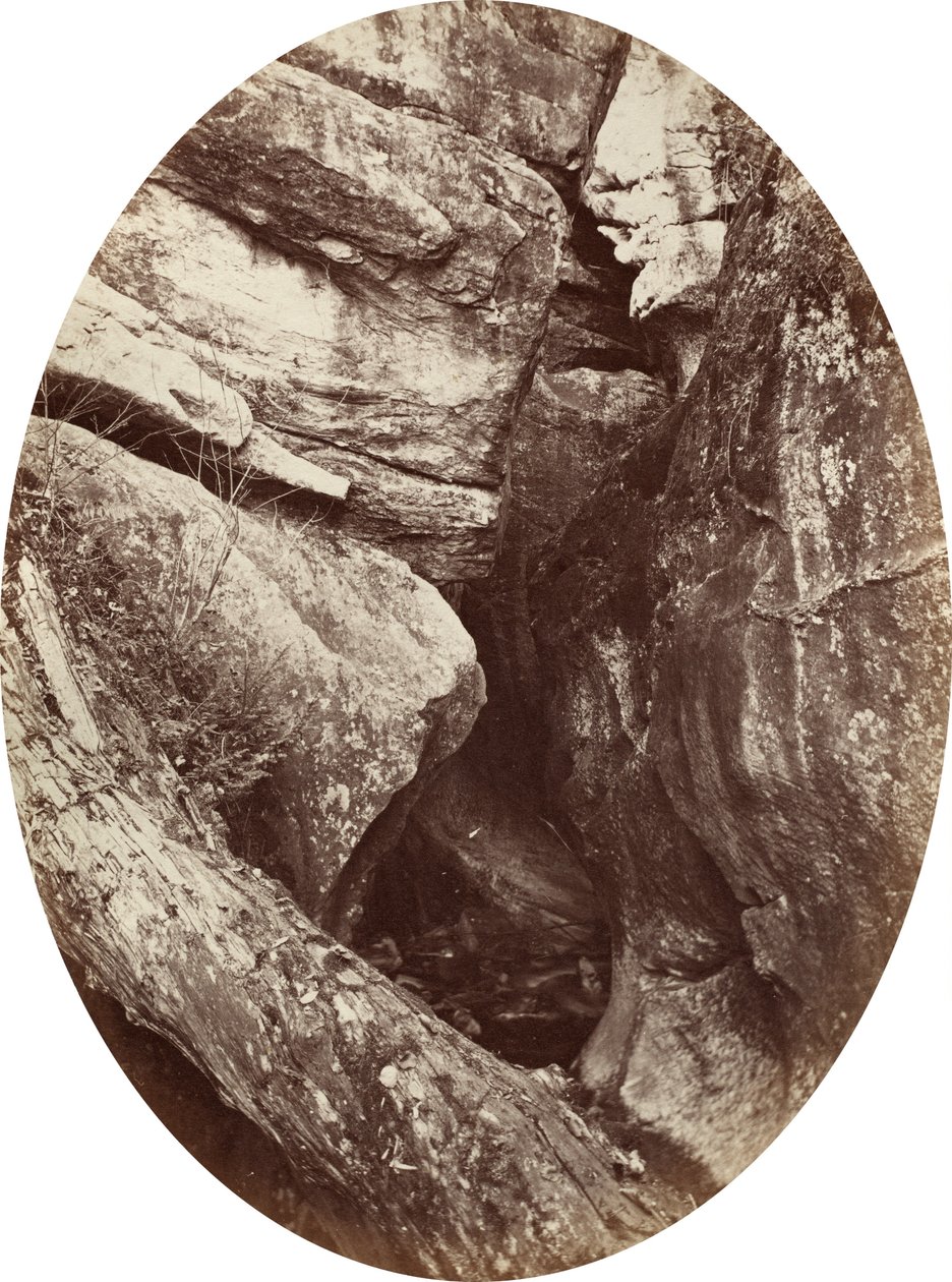 विलियम्स कॉलेज के पास झरना, c. 1870. द्वारा जॉर्ज के वारेन