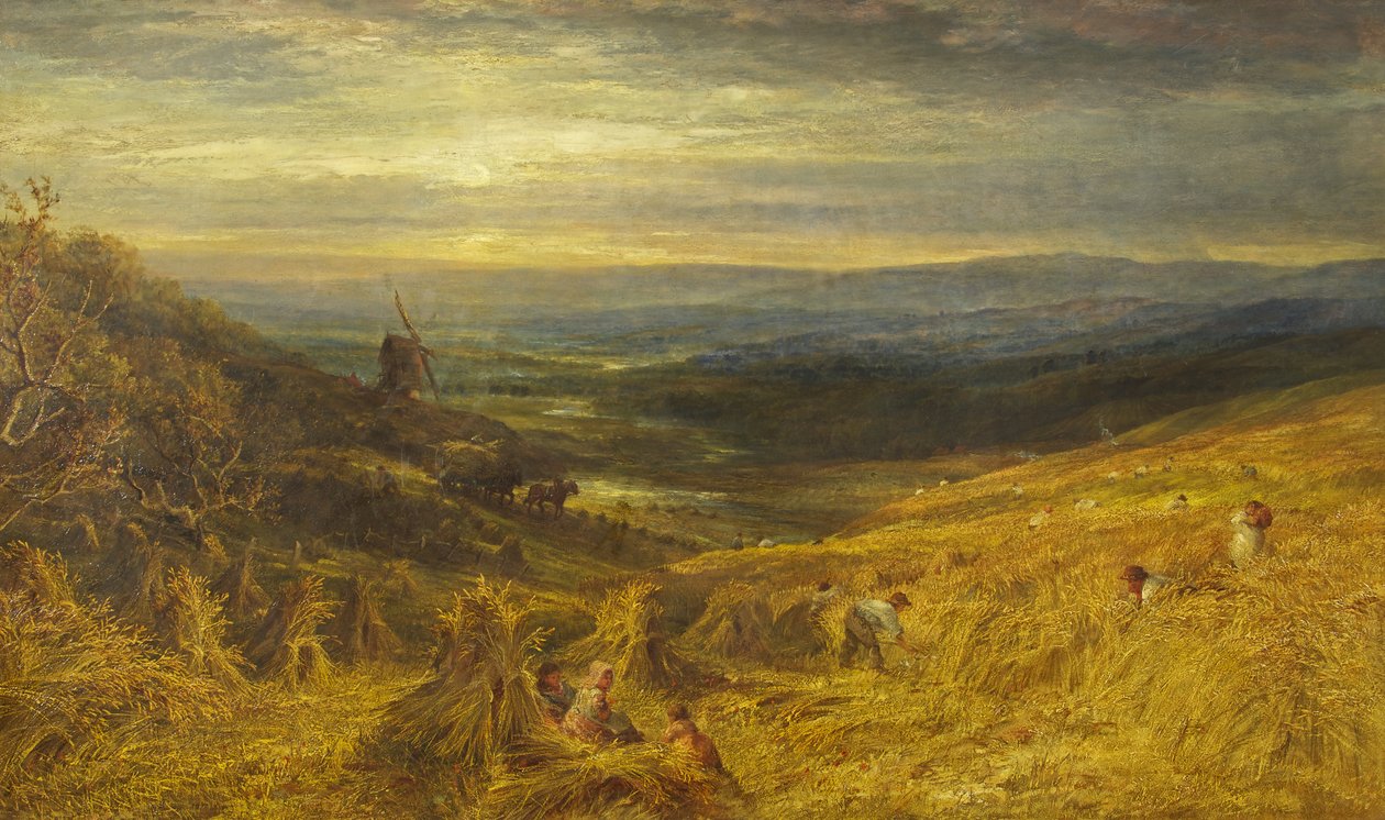 ए सरे कॉर्नफील्ड, c.1877 (कैनवास पर तेल) द्वारा जॉर्ज लुकास