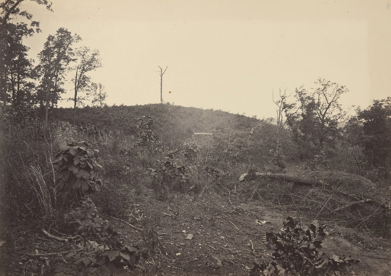 पाइन माउंटेन, 1860 के दशक। द्वारा जॉर्ज एन। बरनार्ड