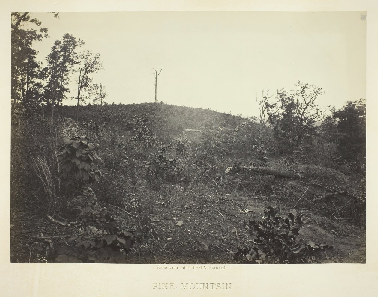 पाइन माउंटेन, 1866। द्वारा जॉर्ज एन। बरनार्ड