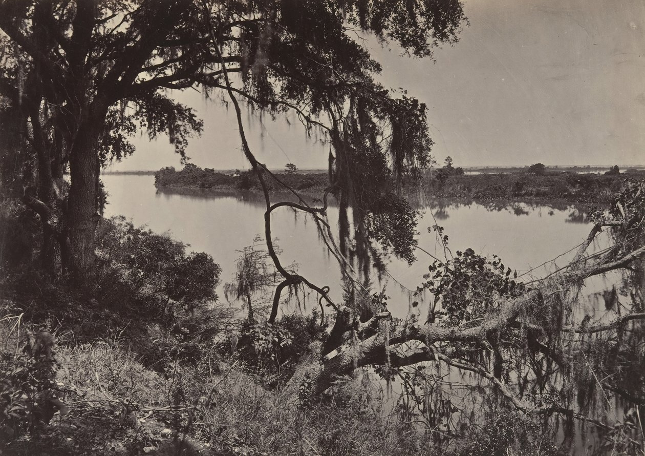 सवाना नदी, सवाना के पास, जॉर्जिया, 1860। द्वारा जॉर्ज एन। बरनार्ड