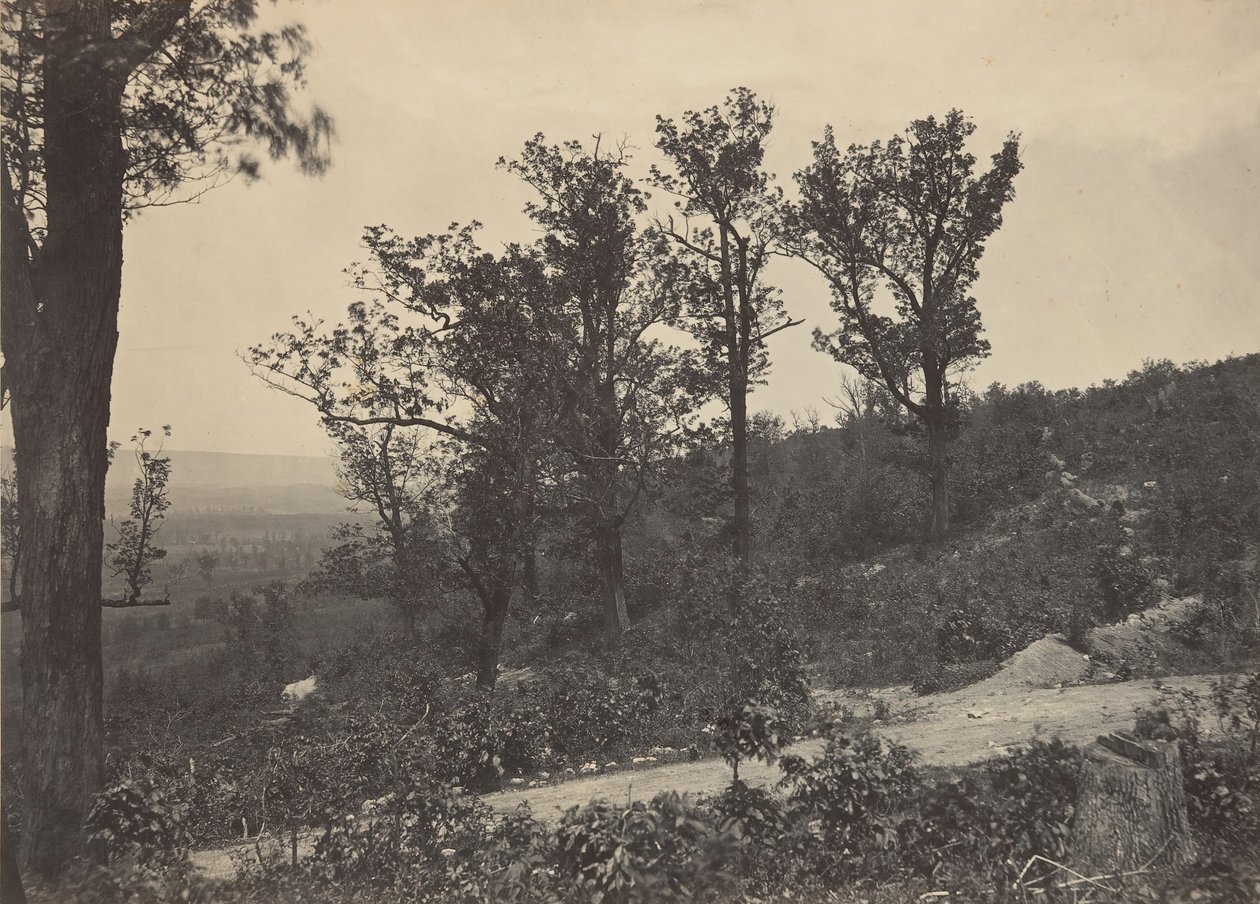 द क्रेस्ट ऑफ़ मिशन रिज, 1860s। द्वारा जॉर्ज एन। बरनार्ड