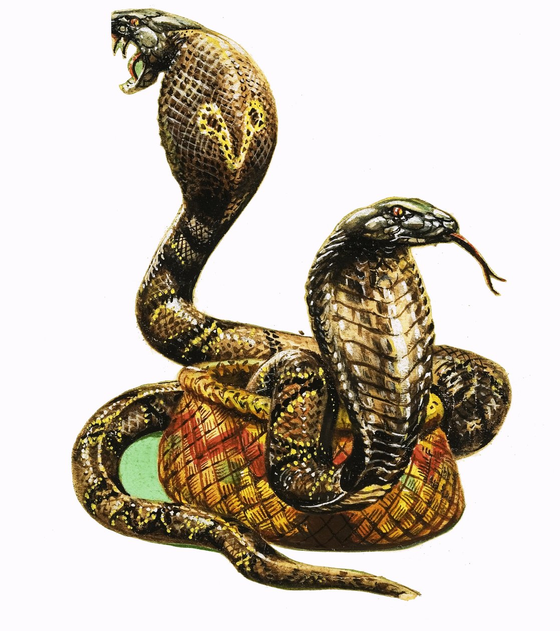  द्वारा जॉर्ज आर. रैडक्लिफ़