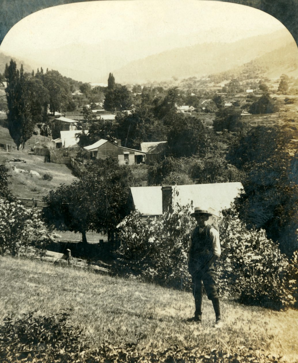 वांडिलिगोंग, विक्टोरिया, ऑस्ट्रेलिया का पक्षी-नेत्र दृश्य, c1909 द्वारा जॉर्ज रोज़