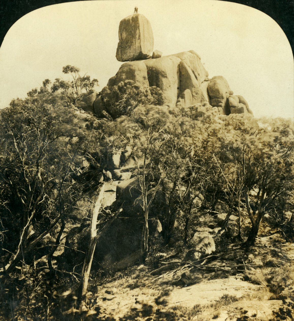 लुक-आउट रॉक, बफ़ेलो रेंज, विक्टोरिया, ऑस्ट्रेलिया, c1909। द्वारा जॉर्ज रोज़
