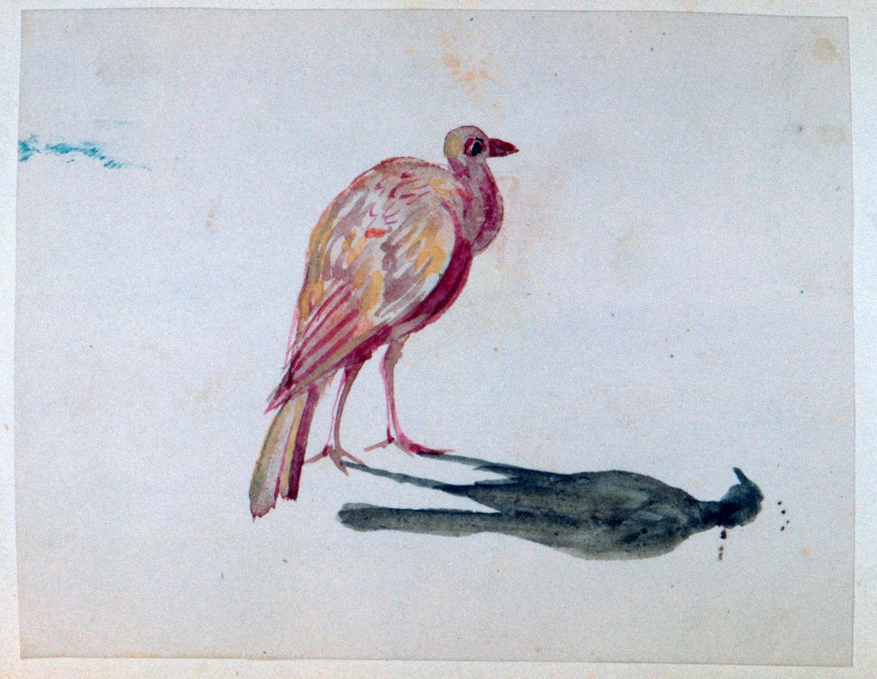 पक्षी, 1820-1876 द्वारा जॉर्ज सैंड