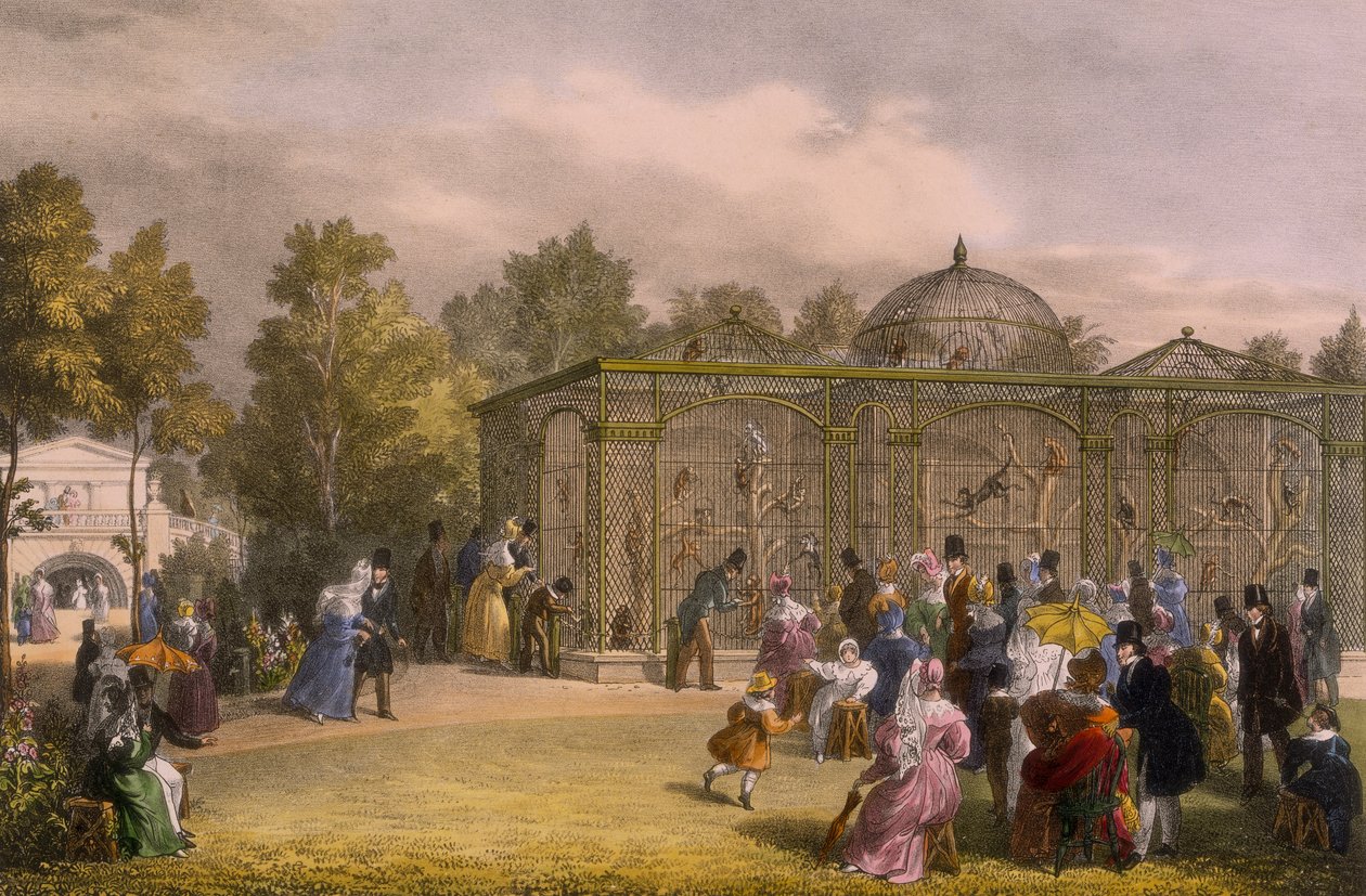 जूलॉजिकल गार्डन, रीजेंट पार्क, लंदन, 1835 में मंकी हाउस। द्वारा जॉर्ज शर्फ