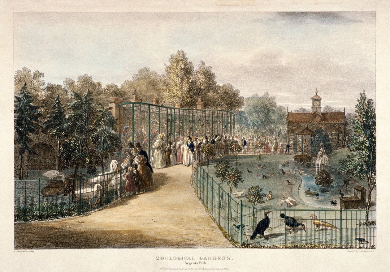 जूलॉजिकल गार्डन, रीजेंट पार्क, लंदन, 1835 द्वारा जॉर्ज शर्फ