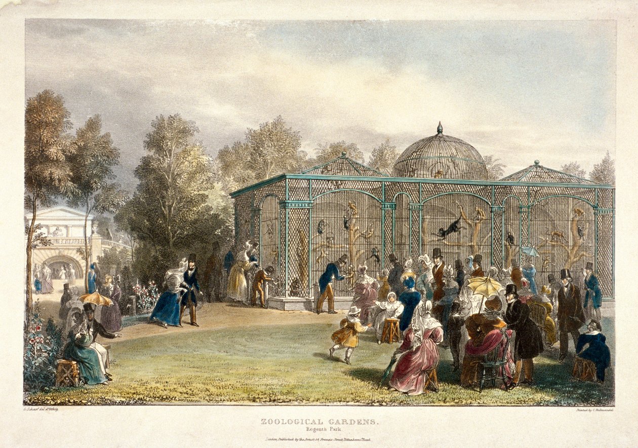 जूलॉजिकल गार्डन, रीजेंट पार्क, लंदन, 1835 द्वारा जॉर्ज शर्फ