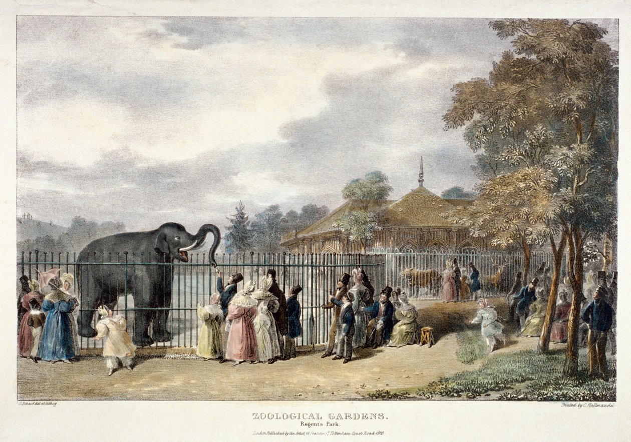जूलॉजिकल गार्डन, रीजेंट पार्क, लंदन, 1835। द्वारा जॉर्ज शर्फ