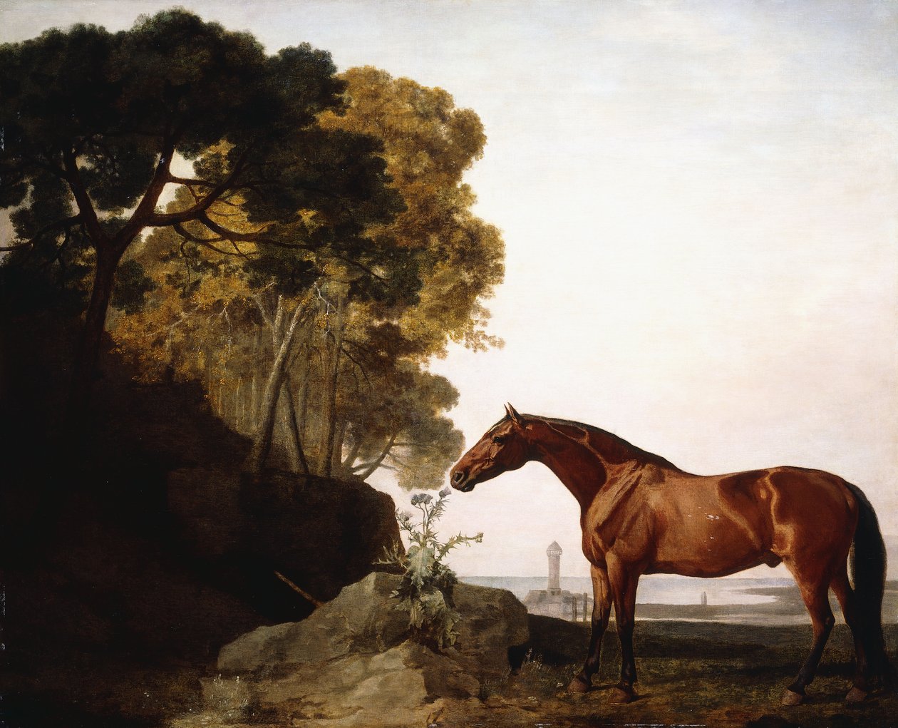 ए बे अरब इन ए कोस्टल लैंडस्केप, 1779 द्वारा जॉर्ज स्टब्स