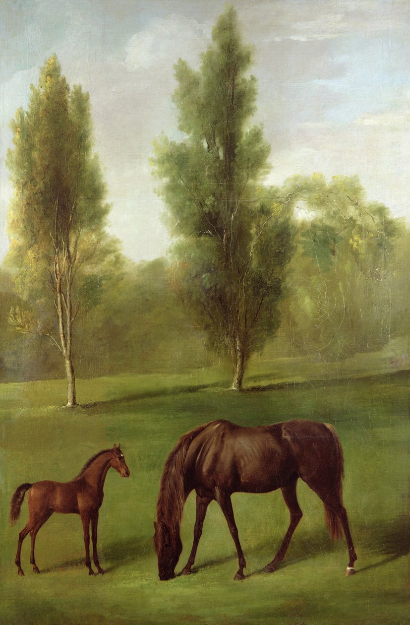 एक जंगली परिदृश्य में एक शाहबलूत घोड़ी और बछेड़ा, c.1761-63 (कैनवास पर तेल) द्वारा जॉर्ज स्टब्स