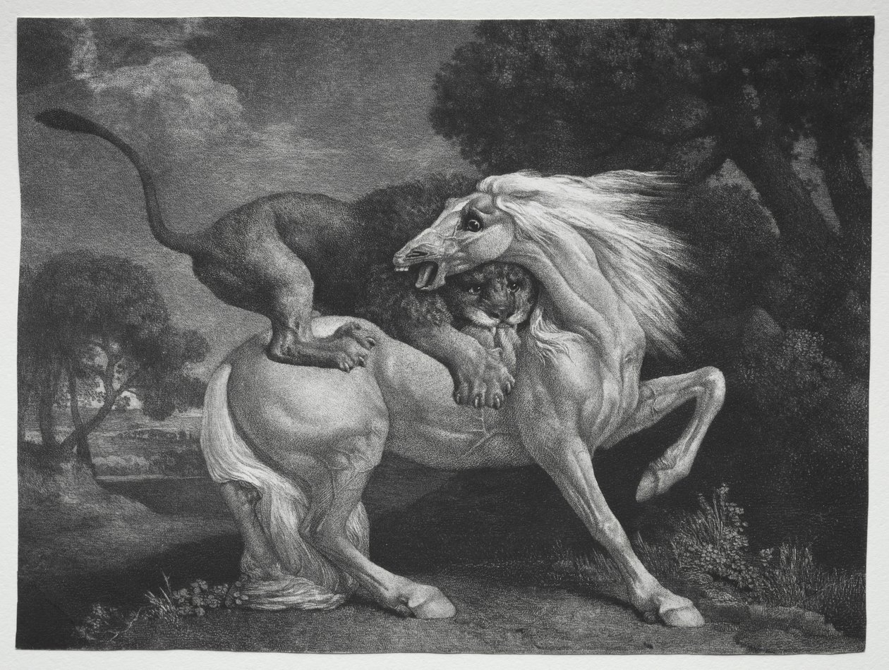 एक शेर द्वारा हमला किया गया घोड़ा, 1788। द्वारा जॉर्ज स्टब्स