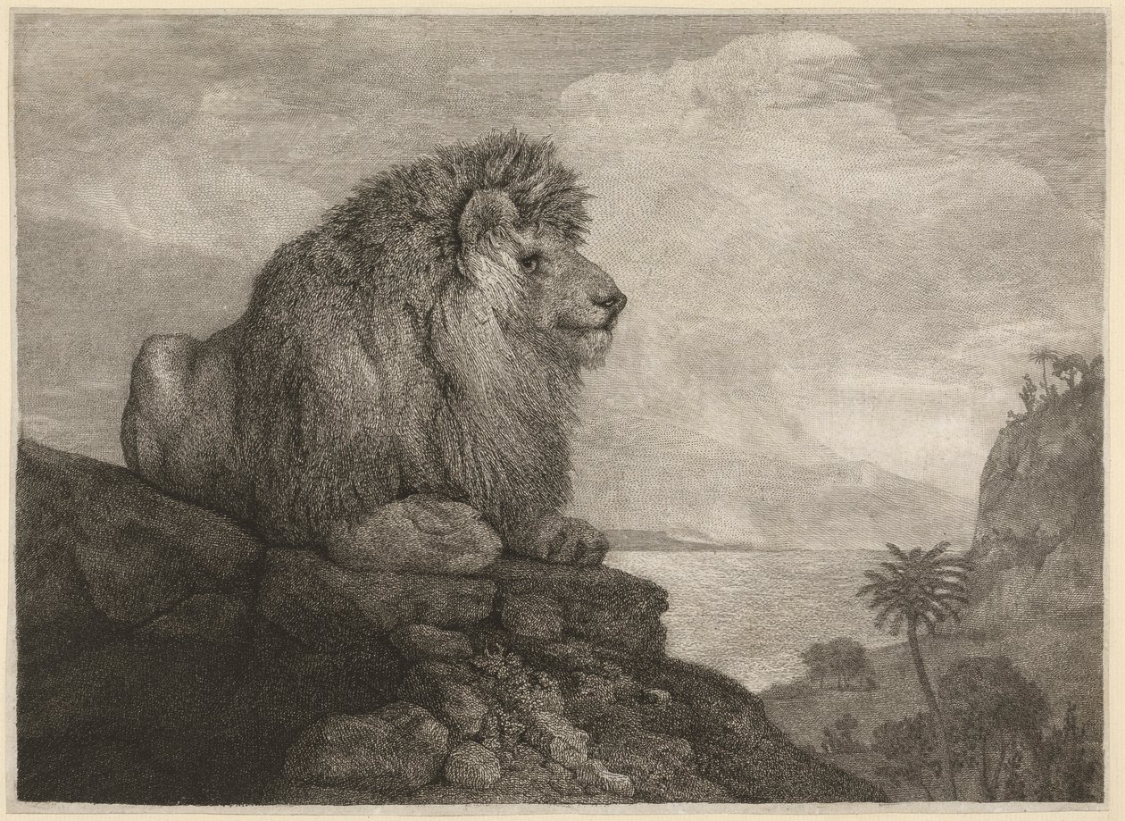 कलाकार द्वारा उकेरा गया एक शेर (एक शेर आराम से एक चट्टान पर) द्वारा जॉर्ज स्टब्स