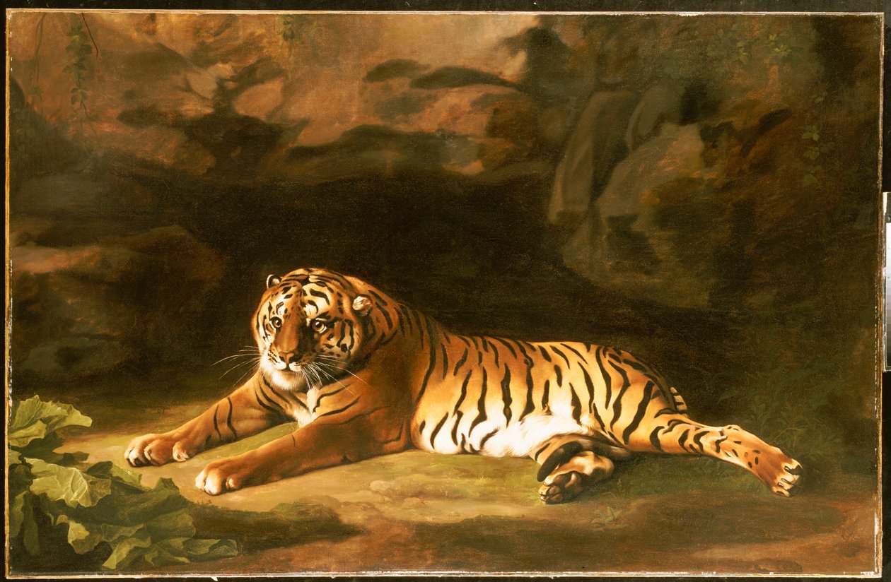 रॉयल टाइगर का पोर्ट्रेट, c.1770 द्वारा जॉर्ज स्टब्स