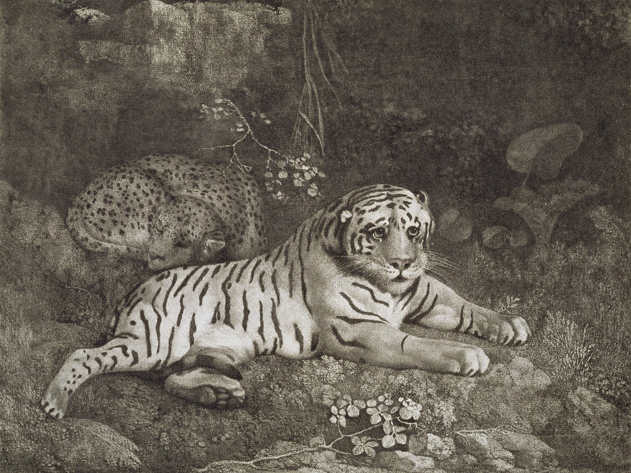 दो टायर, कलाकार द्वारा उकेरा गया, पब। 1788 (नक़्क़ाशी) द्वारा जॉर्ज स्टब्स