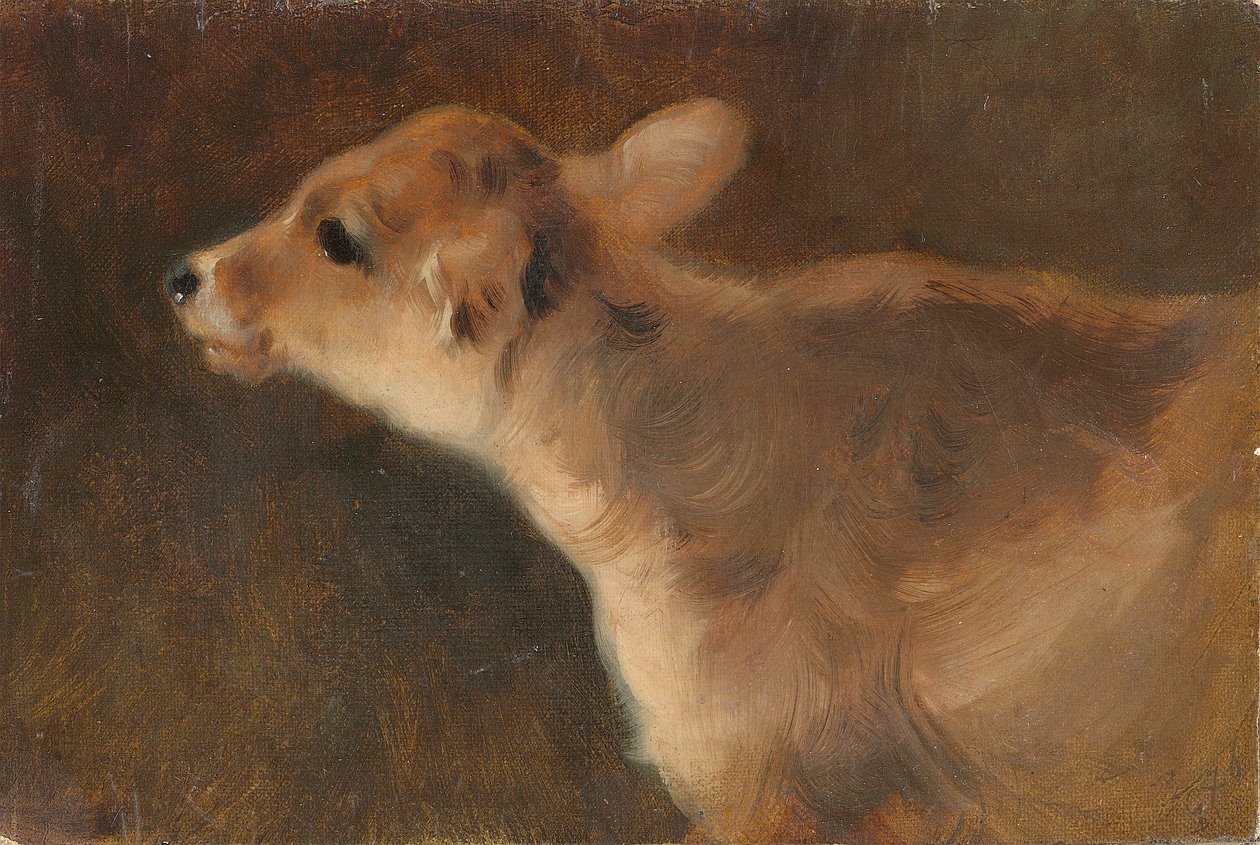एक बछड़ा, 1879 (बोर्ड पर रखा कैनवास पर तेल) द्वारा जॉर्ज विलिअम हॉर्लर