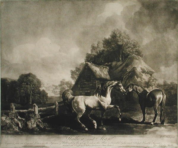स्टालियन और घोड़ी, जॉर्ज टाउनले स्टब्स (1756-1815) 1776 (मेजोटोटिन) द्वारा उत्कीर्ण द्वारा स्टब्स के बाद जॉर्ज