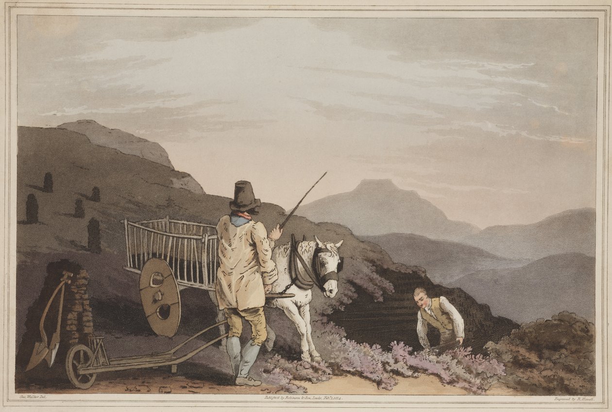पीट कार्ट, यॉर्कशायर के कॉस्टयूम से, रॉबर्ट हैवेल, 1814 (हाथ के रंग का जलीय) द्वारा उकेरा गया द्वारा वॉकर के बाद जॉर्ज