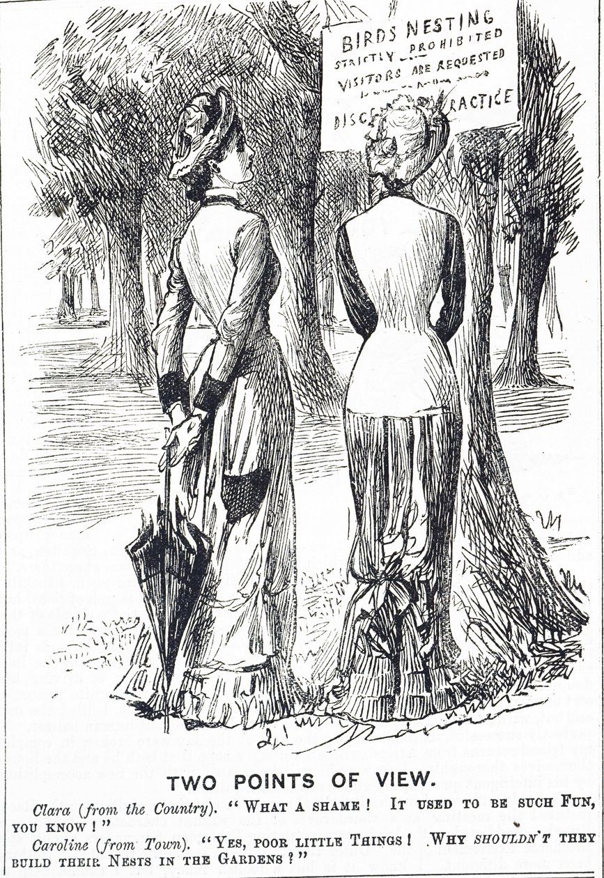 पक्षी संरक्षण अधिनियम 1880 पर कार्टून टिप्पणी द्वारा जॉर्ज डू मौरियर