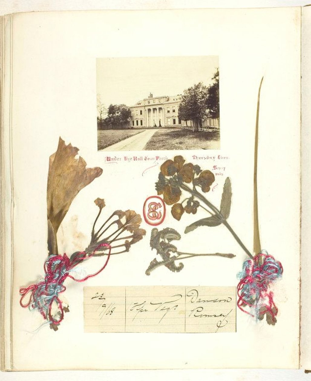 शीर्षकहीन [सूखे फूलों के साथ ब्रॉडलैंड्स का दृश्य], 1868। द्वारा जॉर्जिना काउपर