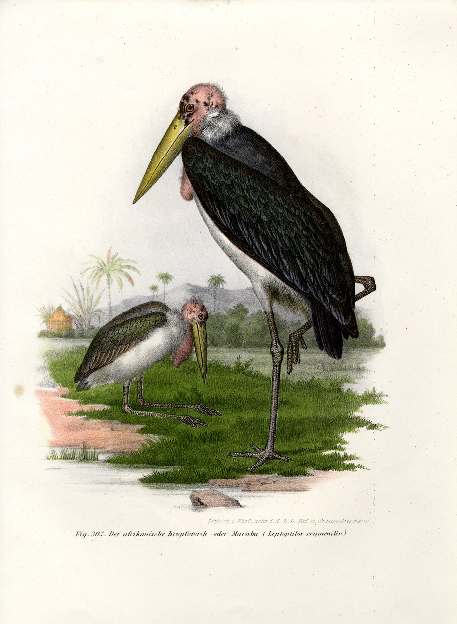 माराबौ, 1864 द्वारा जर्मन स्कूल