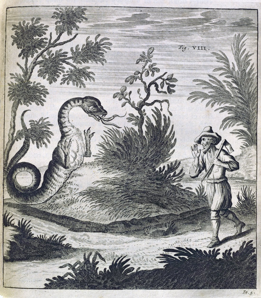 एक भयभीत ड्रैगन, c.1660 द्वारा जर्मन स्कूल