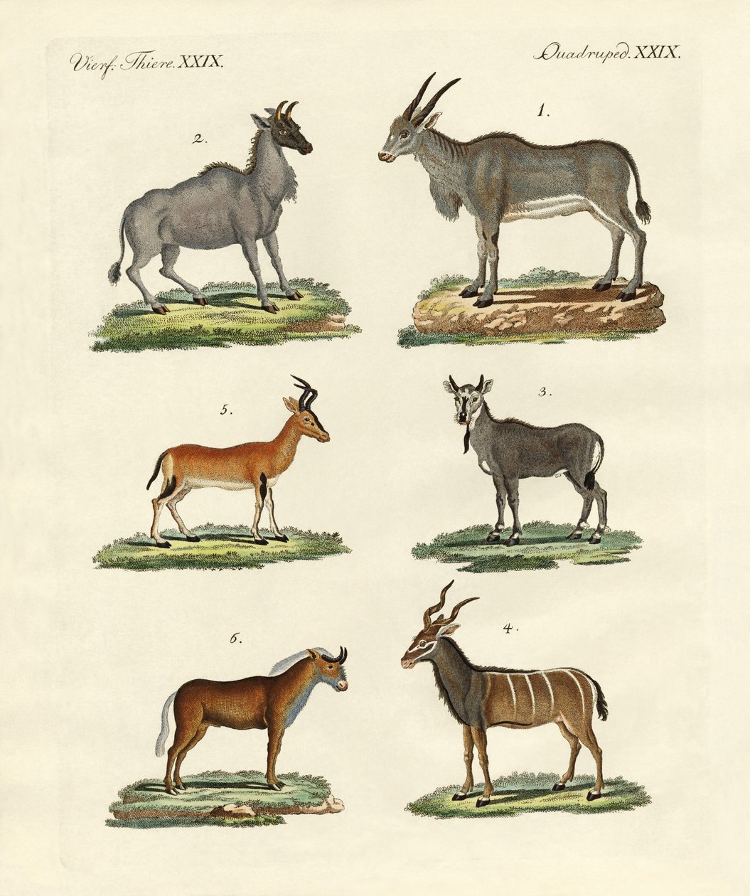 मृग और गजल द्वारा जर्मन स्कूल