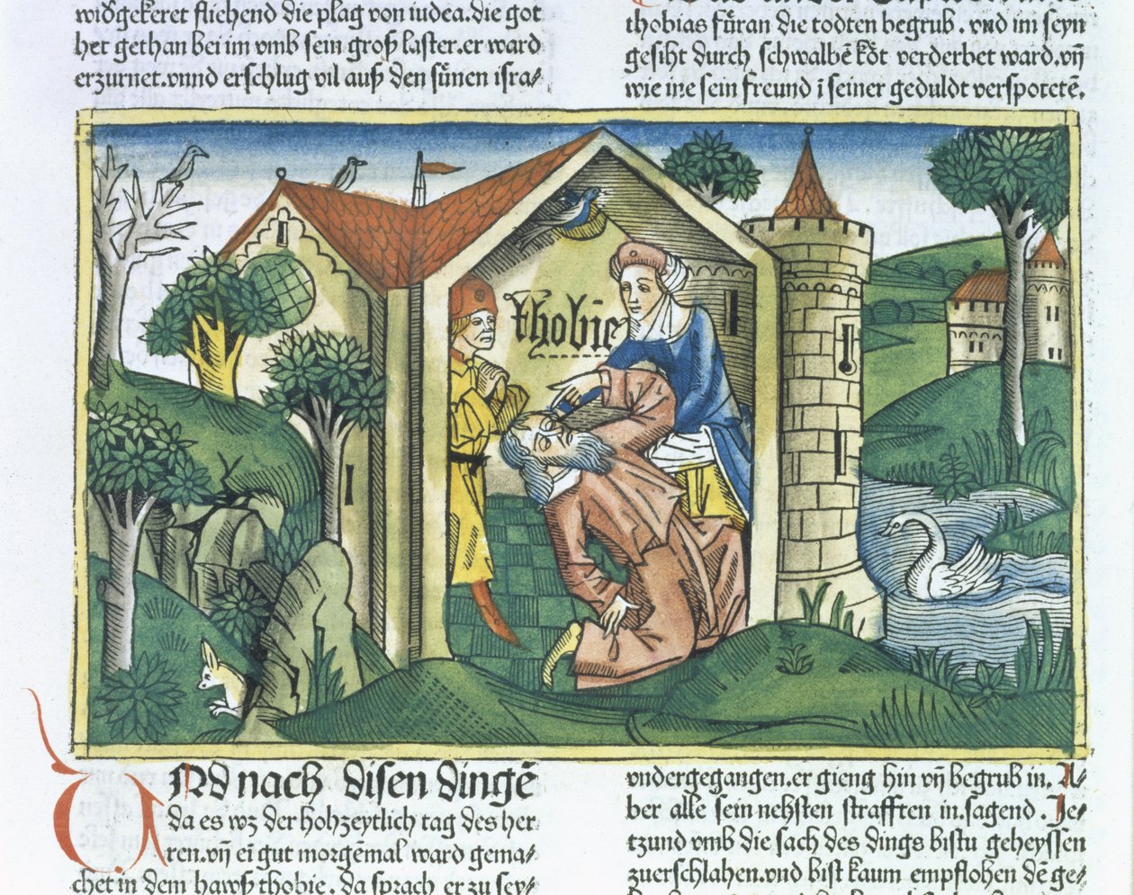 Apocrypha: ट्यूरिट को नूर्नबर्ग बाइबिल (Biblia Sacra Germanaica) (रंगीन लकड़बग्घा) से गौरैया की बूंदों द्वारा अंधा कर दिया जाता है द्वारा जर्मन स्कूल