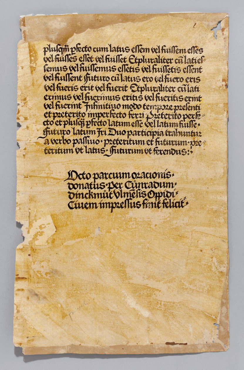 एलीस डोनटस द्वारा अरस माइनर, कोनराड डिनकमट, उल्म द्वारा मुद्रित, c.1476-80 (ब्लॉक) द्वारा जर्मन स्कूल