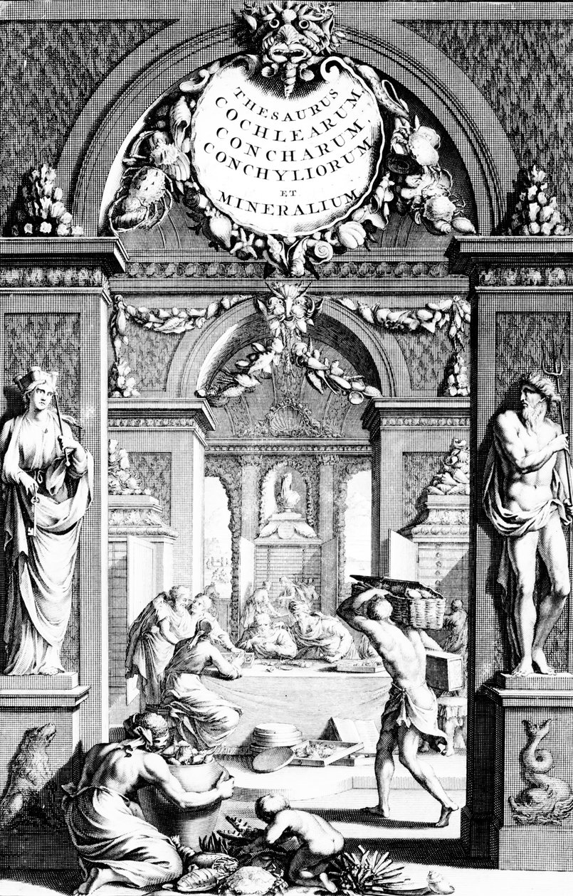 एबरहार्ड Bumphius संस्करण द्वारा मछली बर्तन के खजाने छवियों frontispiece 1739 में प्रकाशित द्वारा जर्मन स्कूल