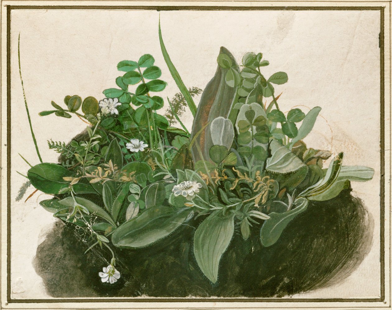  द्वारा जर्मन स्कूल