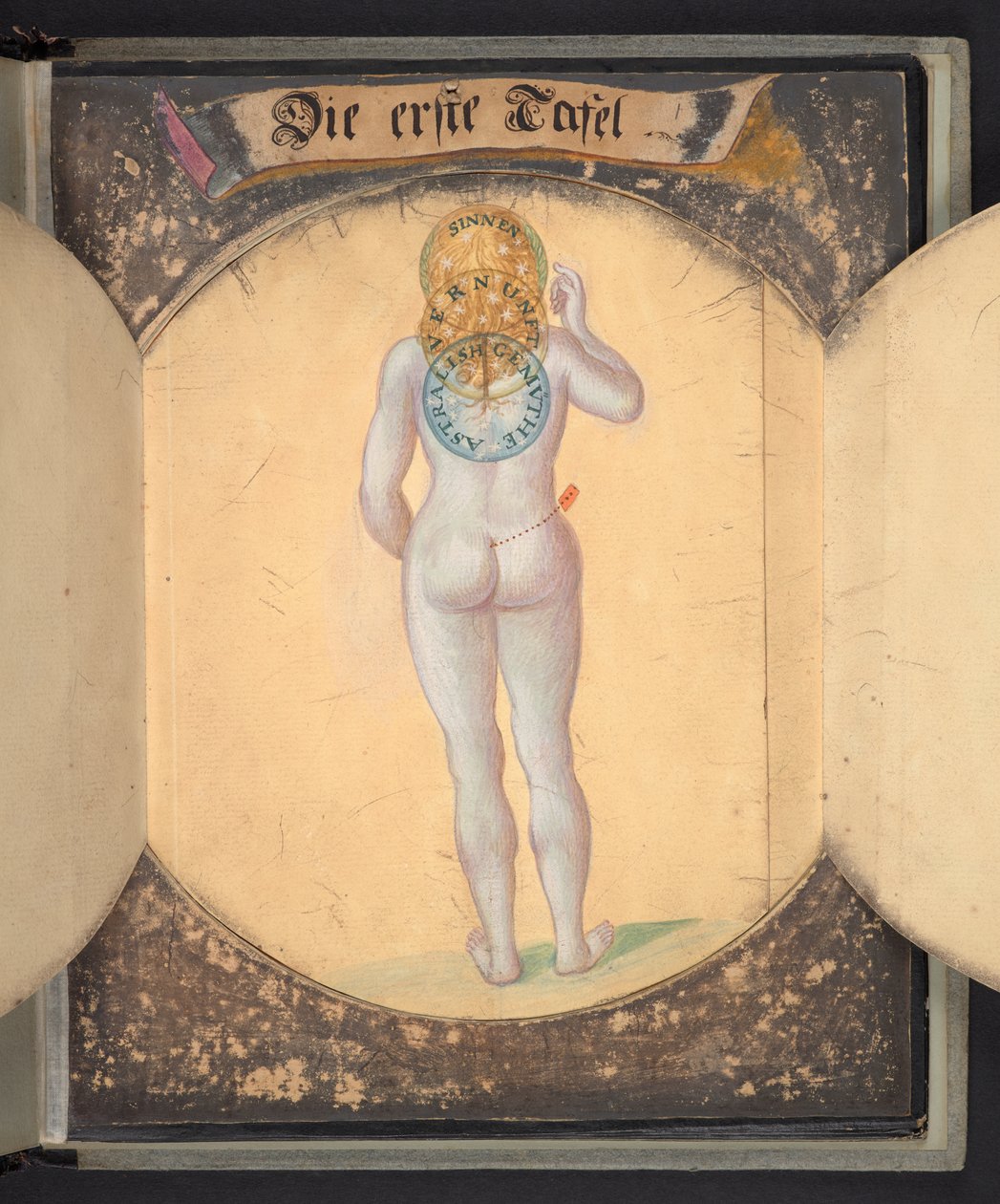  द्वारा जर्मन स्कूल