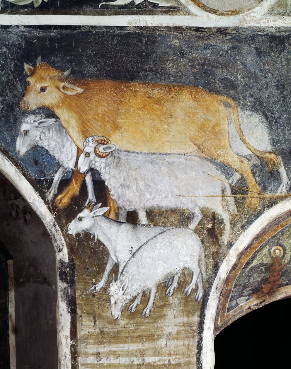 पशुधन जानवर, जियाकोमो जैकेरियो (1375-1453) द्वारा फ्रेस्को से विवरण, रैनवर्सो के सेंट एंथोनी का अभय, बटिग्लेरा अल्टा, पीडमोंट, इटली द्वारा जियाकोमो जैकेरियो