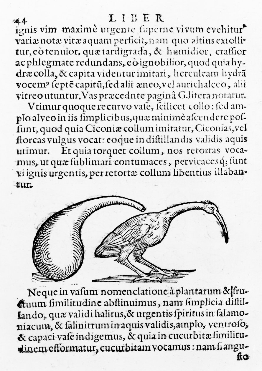 फ्लास्क और इबिस, डी डिस्टिलिएशन द्वारा Giambattista della Porta, 1610 प्रकाशित द्वारा गिआम्बतिस्ता डेला पोर्टा