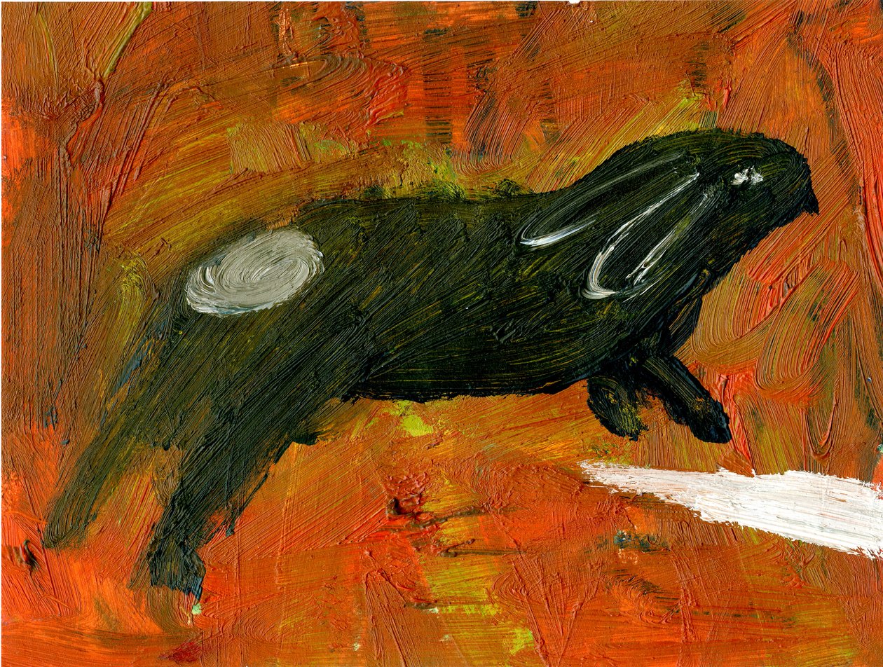 खरगोश, 2005, (कागज पर तेल) द्वारा गिगी सडबरी