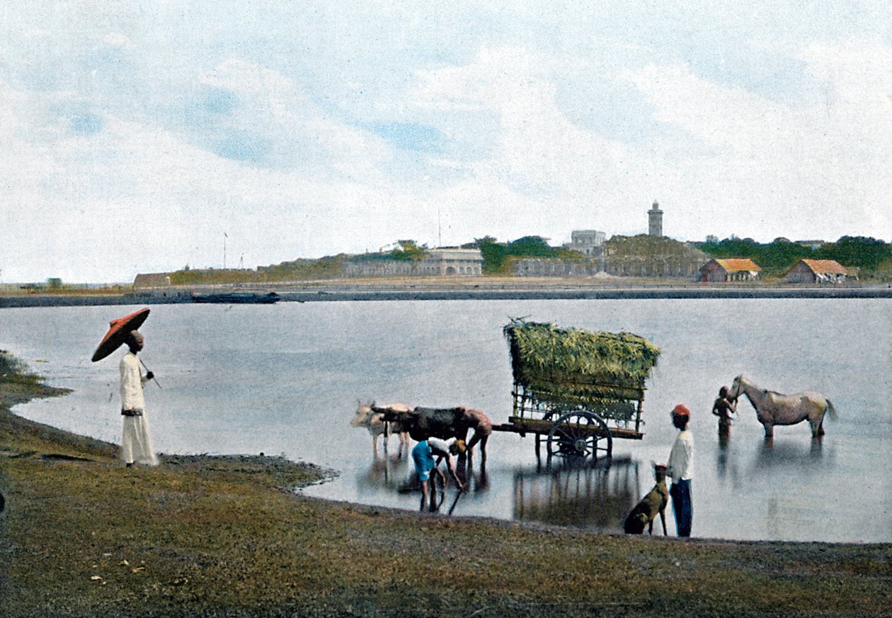 कोलंबो, सीलोन, सी 1890 द्वारा Gillot