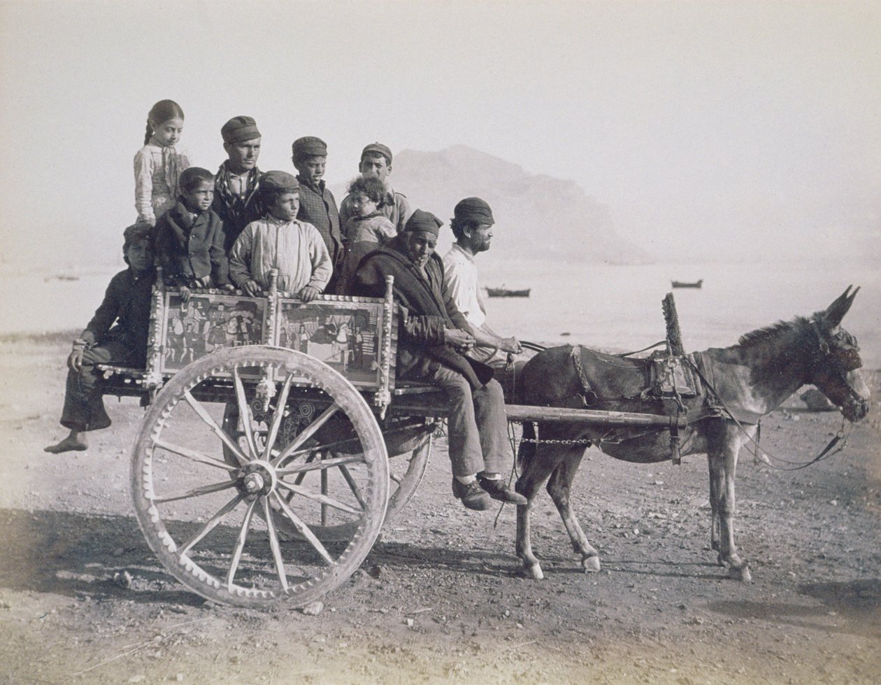 एक खच्चर, पलेर्मो, सिसिली, c.1880 (एल्बम प्रिंट) द्वारा खींची गई भीड़ द्वारा जियोर्जियो गर्मी