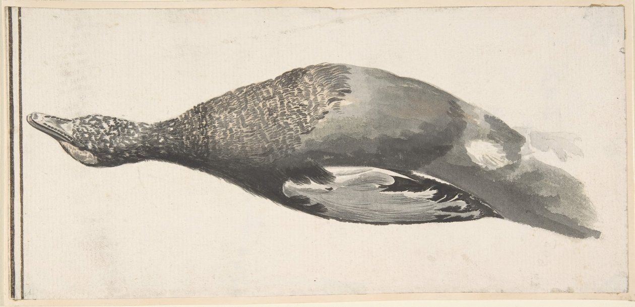डेड डक, 1685-1755। द्वारा जियोर्जियो दुरांटे
