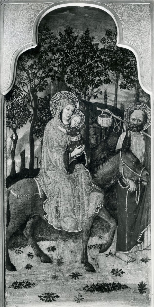 द लाइफ ऑफ द वर्जिन, फ्लाइट इन इजिप्ट, c.1445 ऑयल ऑन पॉपलर पैनल bw फोटो द्वारा जियोवन्नी फ्रांसेस्को दा रिमिनी