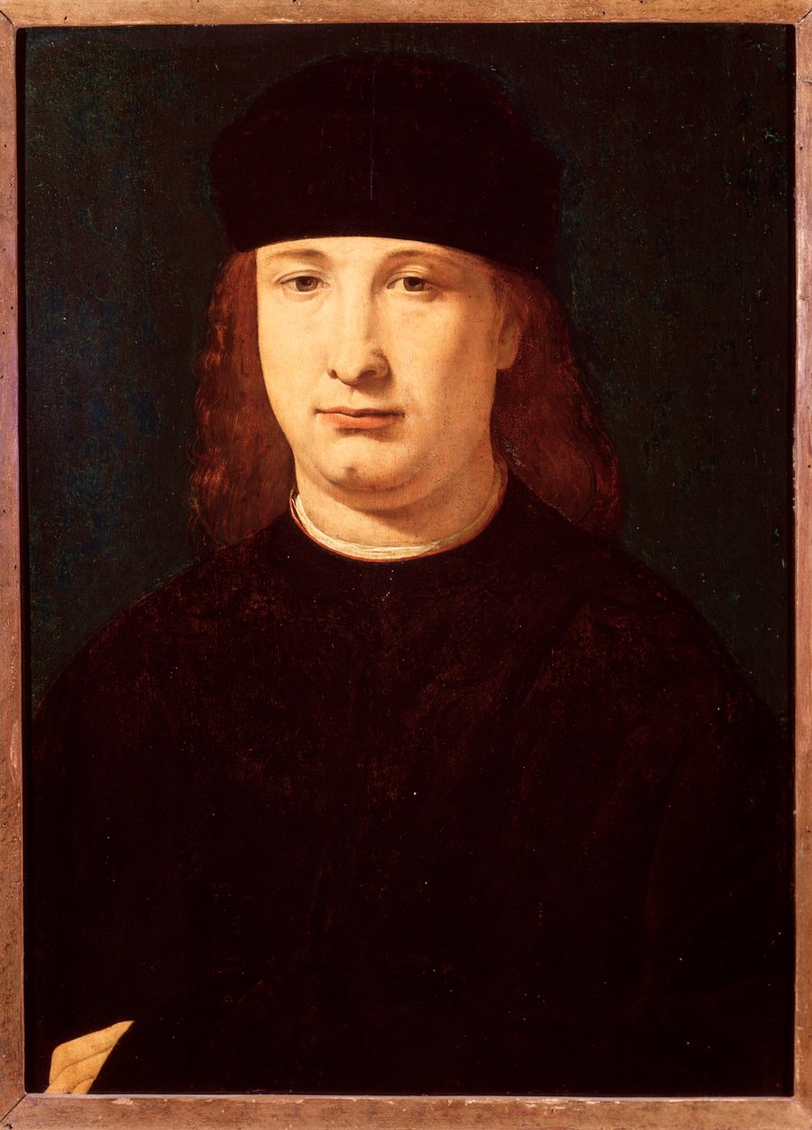 इतालवी कवि गिरोलामो कैसियो का पोर्ट्रेट (लकड़ी पर तेल, c.1500-1520) द्वारा जियोवानी एंटोनियो बोल्ट्राफियो