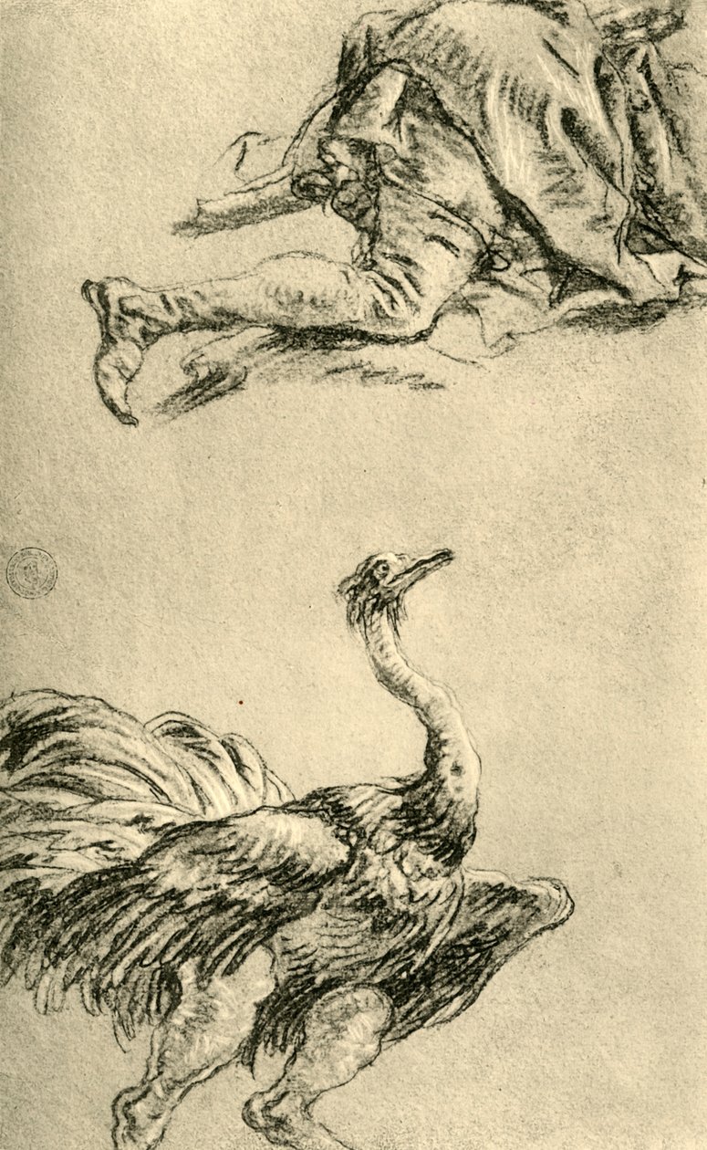 एक चल शुतुरमुर्ग, 1752-1753, 1928 द्वारा जियोवन्ती बतिस्ता टाईपोलो