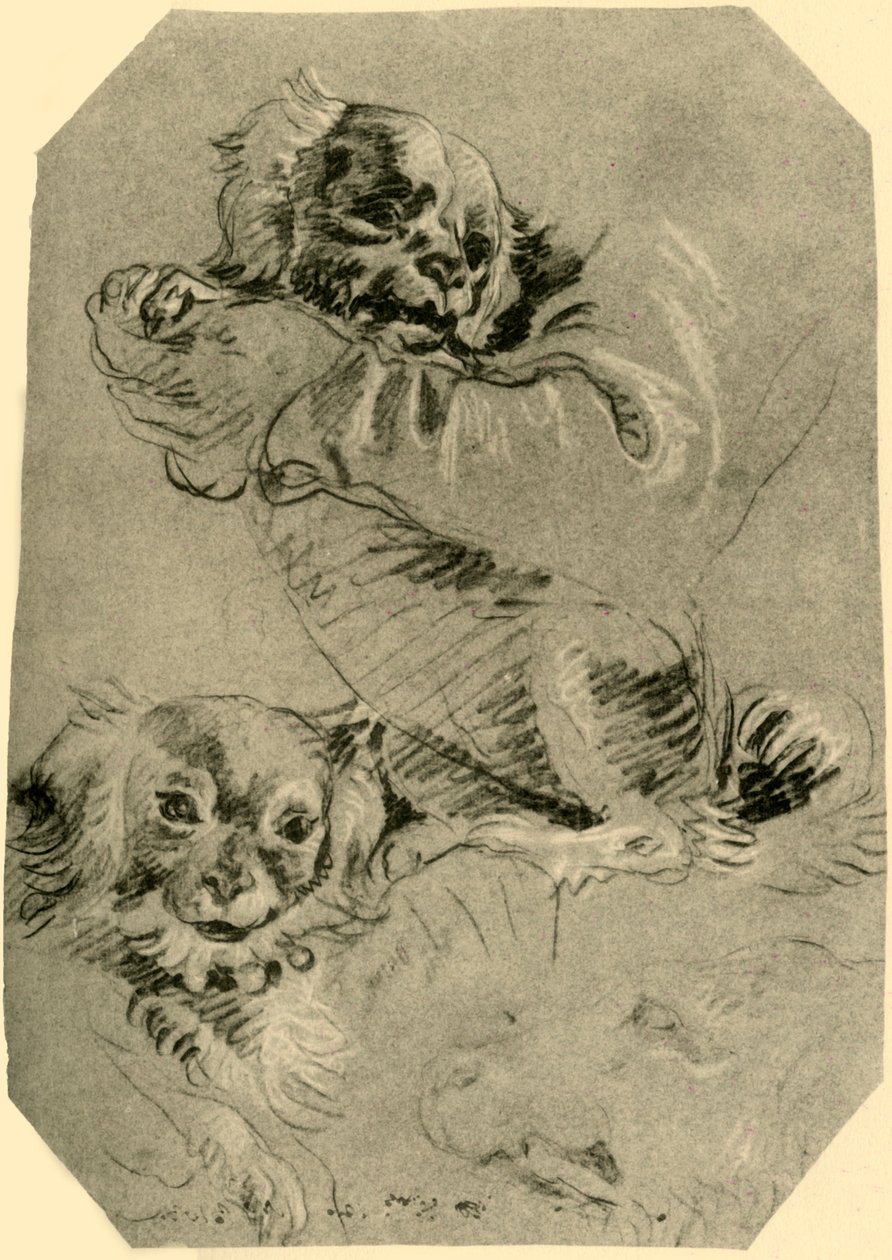 बोलोग्ना डॉग्स, 1751-1752, 1928 द्वारा जियोवन्ती बतिस्ता टाईपोलो