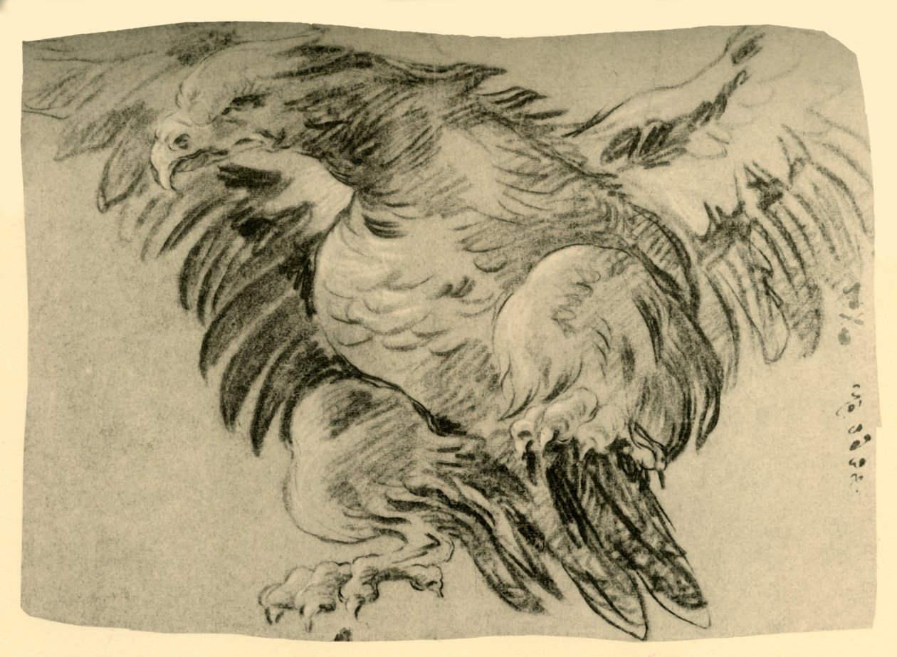 ईगल, 1751-1752, 1928 द्वारा जियोवन्ती बतिस्ता टाईपोलो