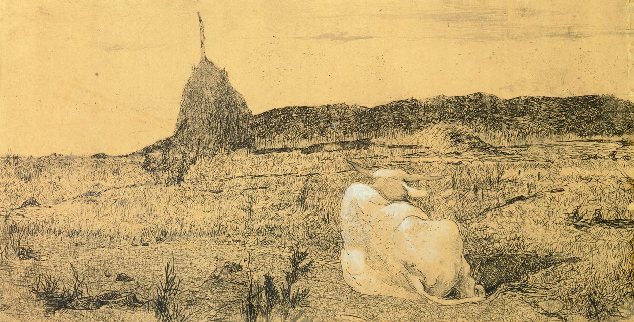 जियोवानी फत्तोरी (1825-1908), नक़्क़ाशी द्वारा पियो बोवे (पवित्र या शांतिपूर्ण बैल) द्वारा जियोवन्नी फत्तोरी