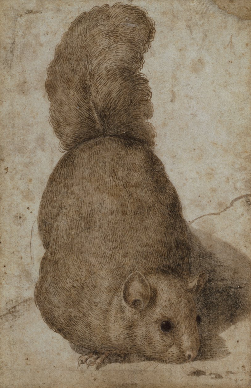  द्वारा Giovanni da Udine (attr. to)
