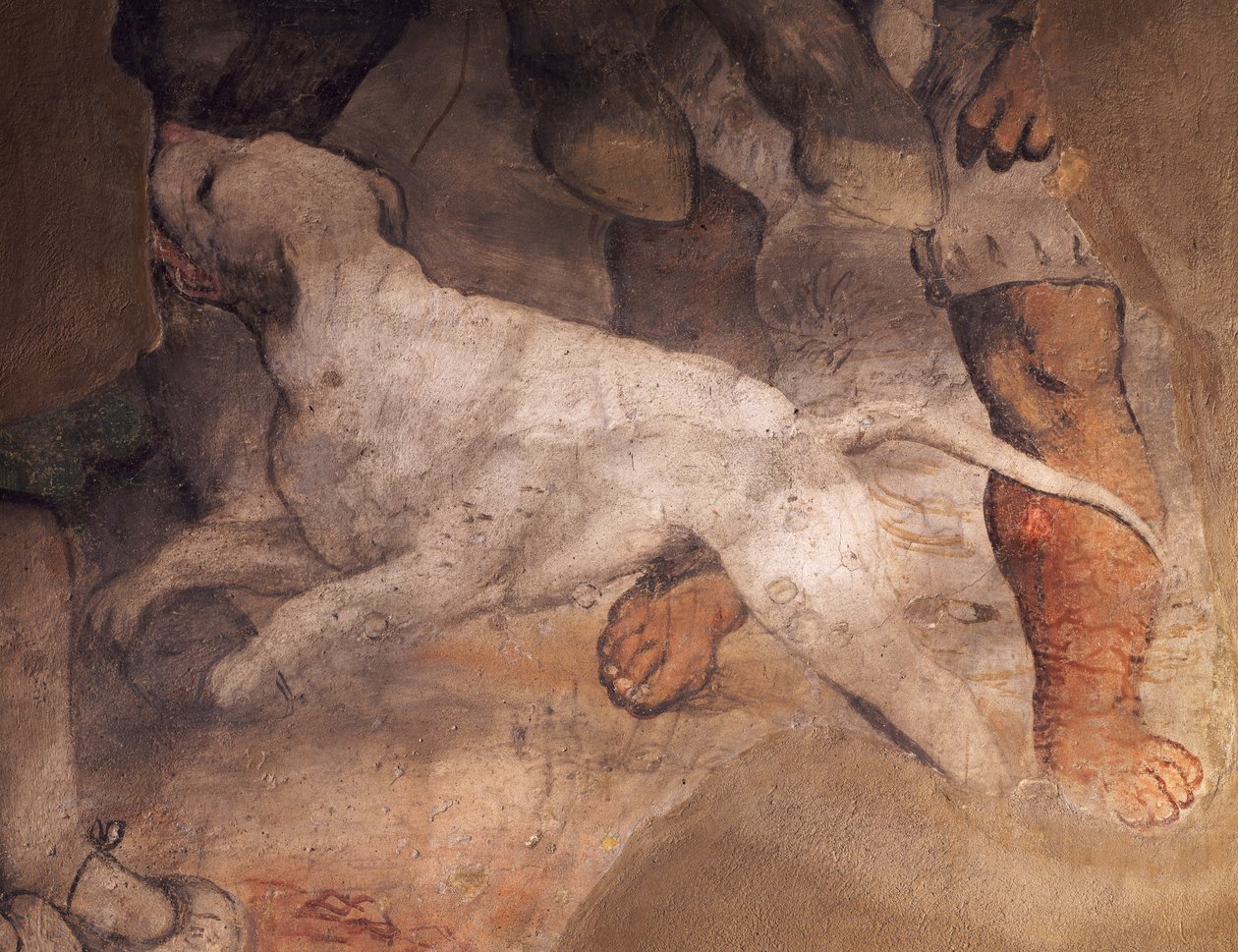 कुत्ते का चित्र, गिरोलामो रोमानिनो (ca1484-1566), सेंट'एंटोनियो (सेंट एंथोनी) चर्च, ब्रेनो, इटली द्वारा फ्रेस्को से विस्तार द्वारा गिरोलामो रोमनो