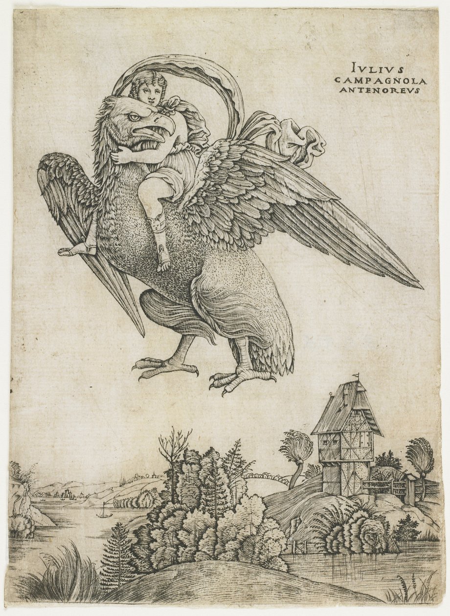 गेनीमेड, सी। 1500-1505 द्वारा Giulio Campagnola