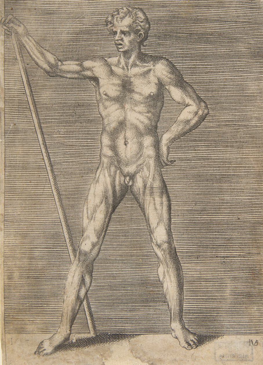 सामने से दिख रहा भड़का हुआ आदमी, एक छड़ी पकड़े हुए, ca. 1531-76। द्वारा गिउलिओ बोनासोन